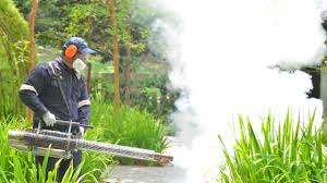 Best Fumigation Services  in Briarcliff Manor, NY